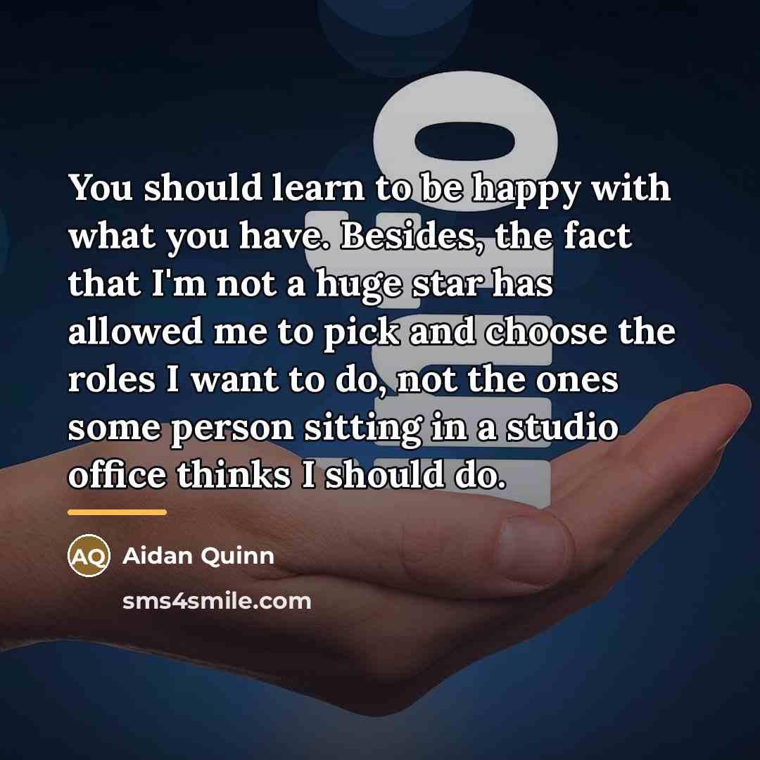 “You should learn to be happy with what you have.…” quote by Aidan Quinn
