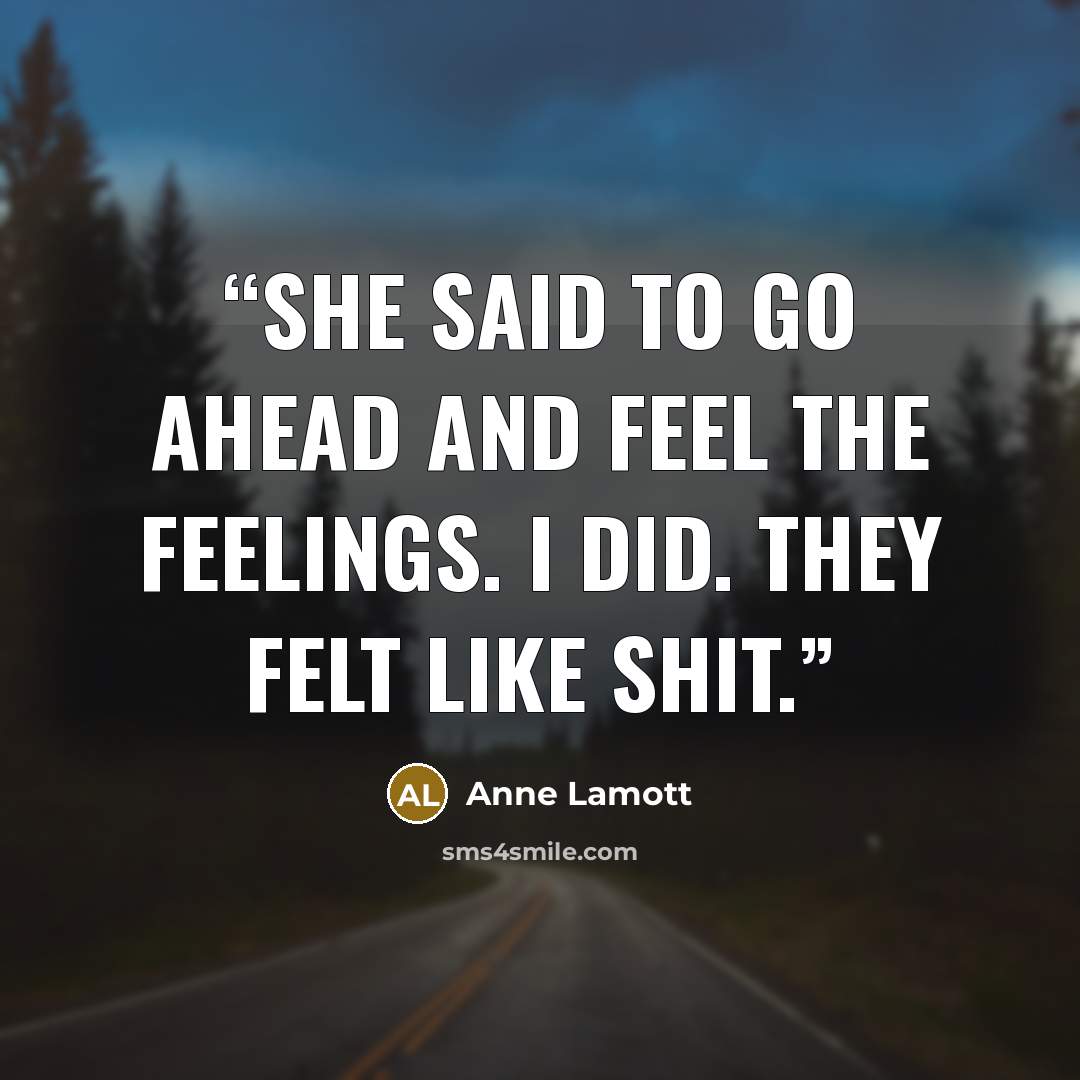 “She said to go ahead and feel the feelings. I did. They felt like shit.” quote by Anne Lamott