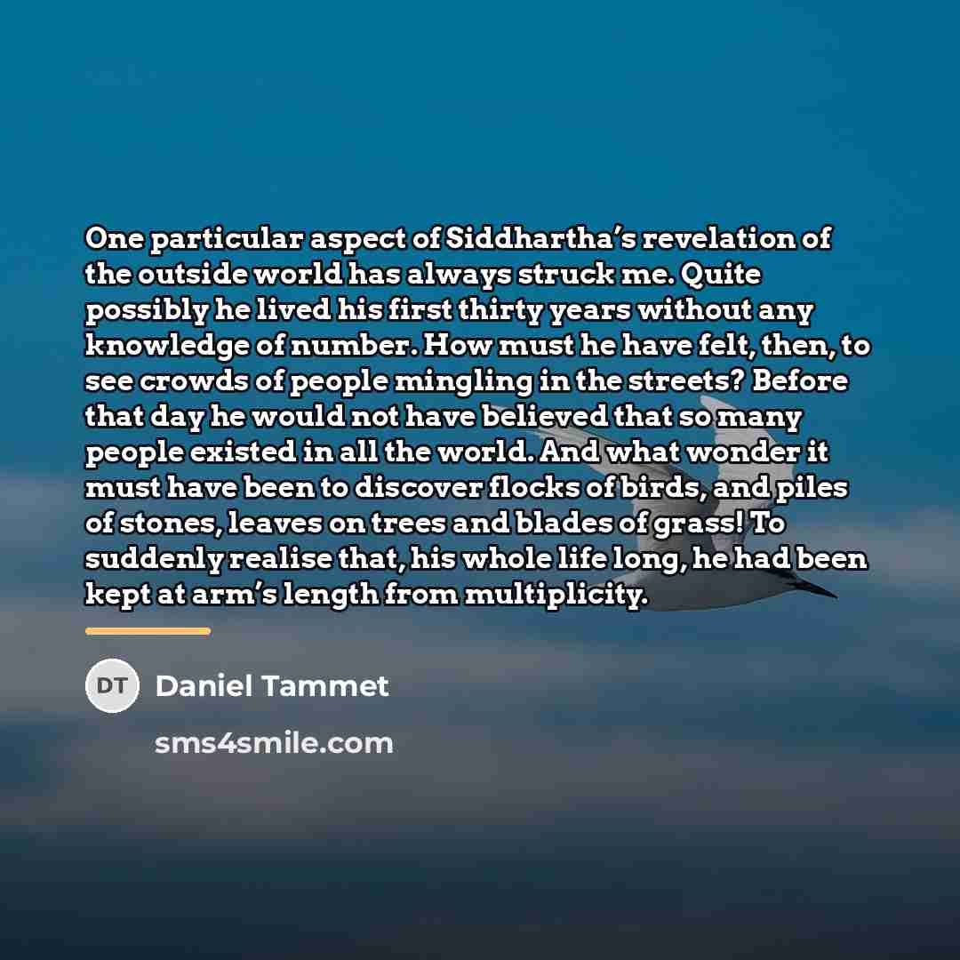 “One particular aspect of Siddhartha’s revelation of the outside world…” quote by Daniel Tammet