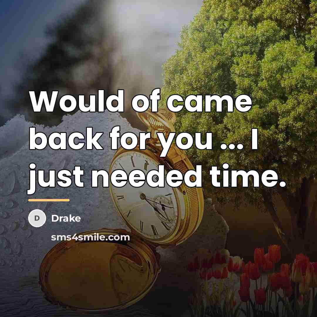 “Would of came back for you ... I just needed…” quote by Drake