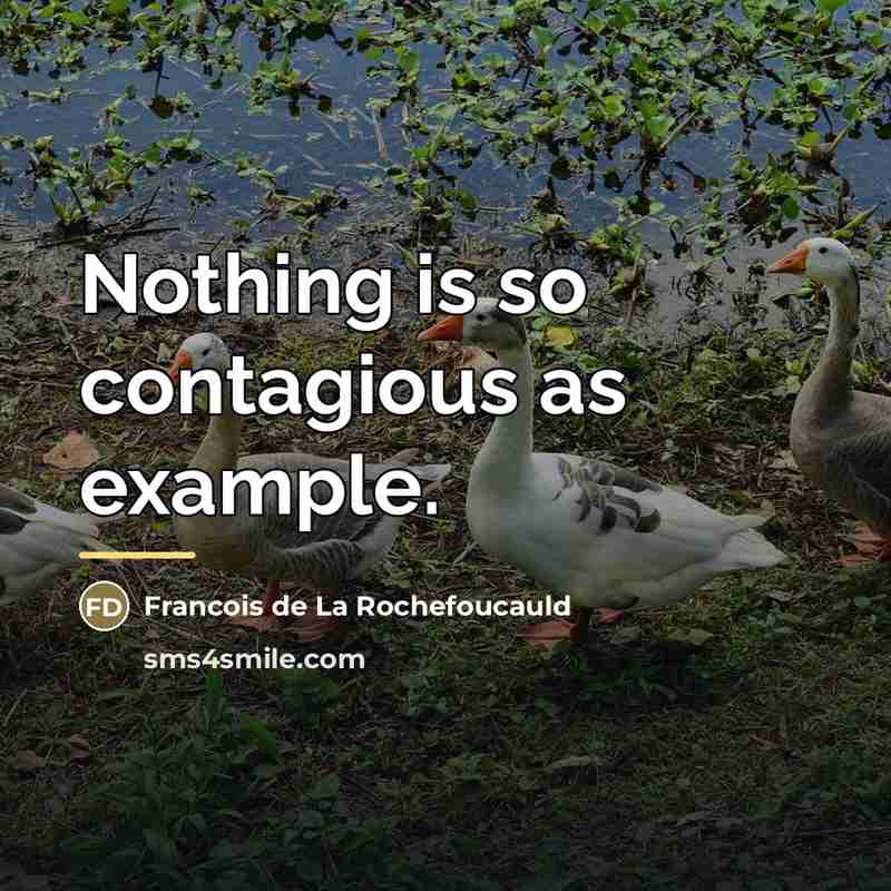 “Nothing is so contagious as example.…” quote by Francois de La Rochefoucauld