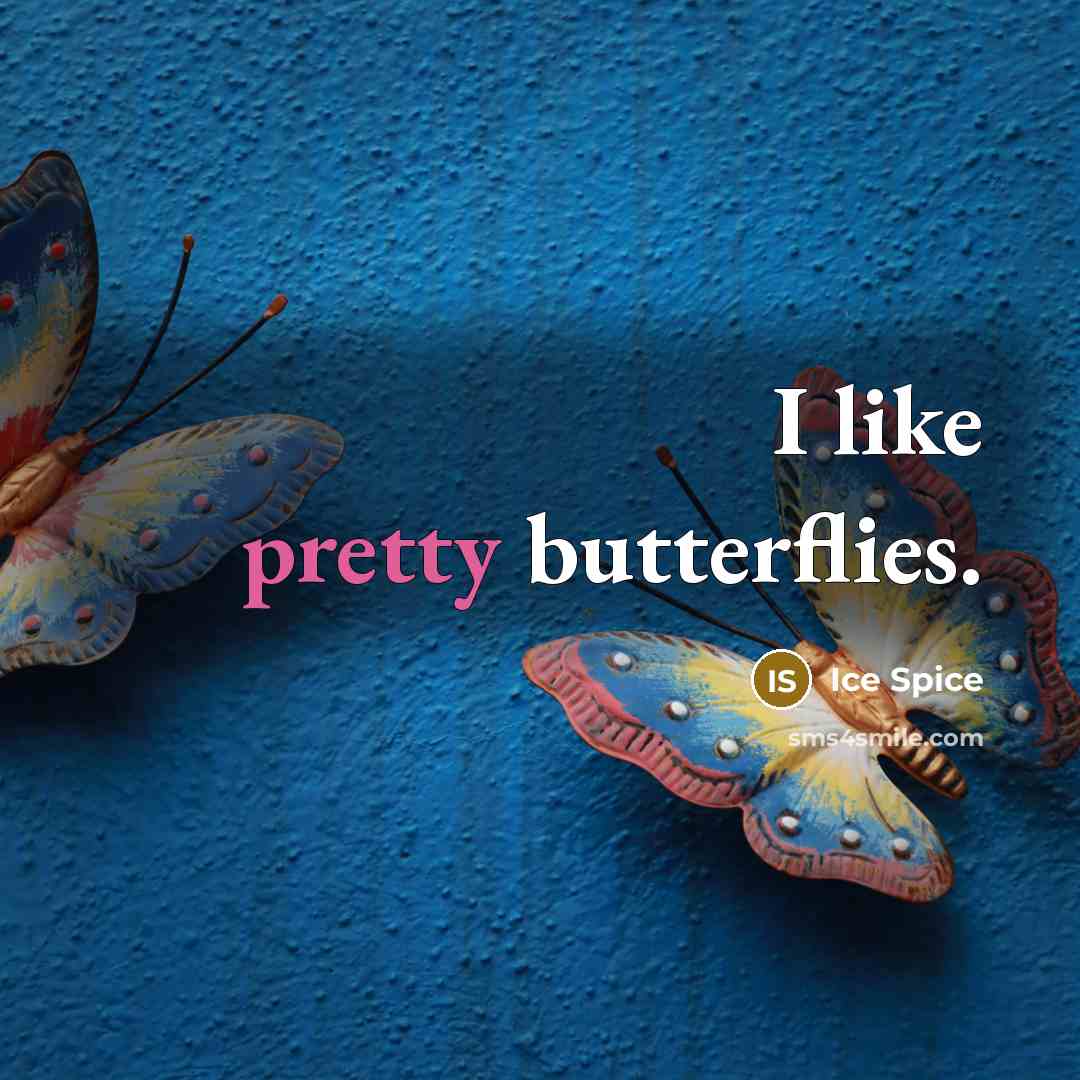 “I like pretty butterflies.…” quote by Ice Spice