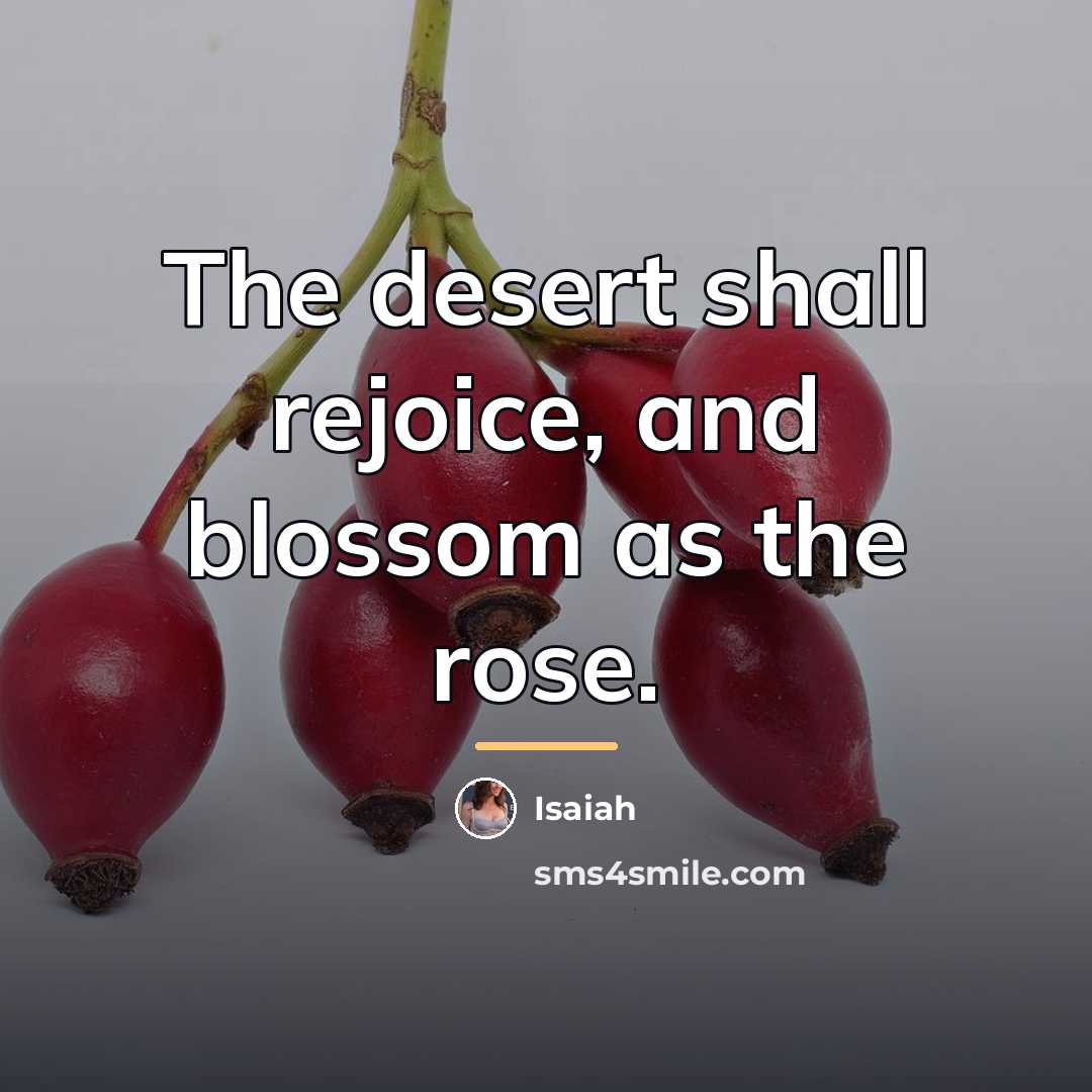 “The desert shall rejoice, and blossom as the rose.…” quote by Isaiah