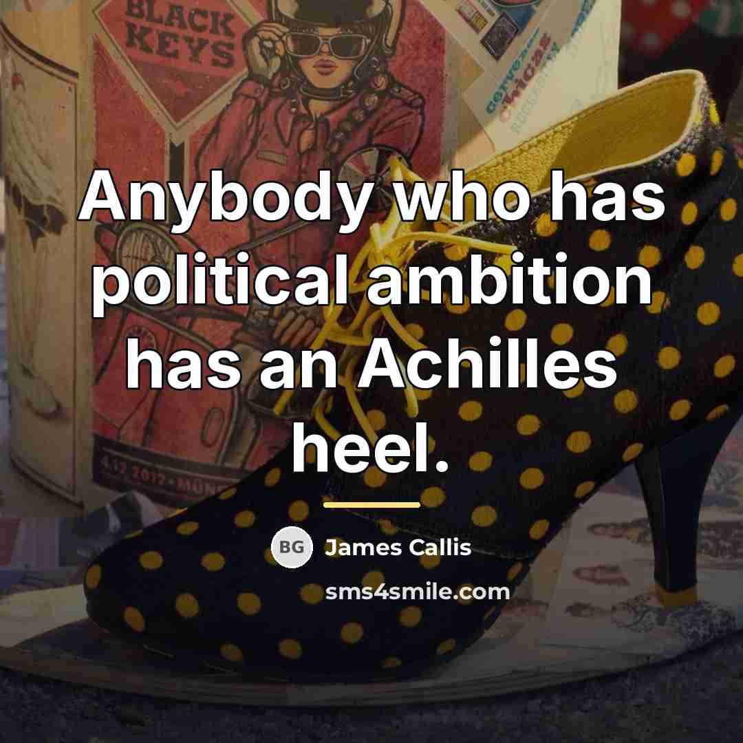 “Anybody who has political ambition has an Achilles heel.…” quote by James Callis