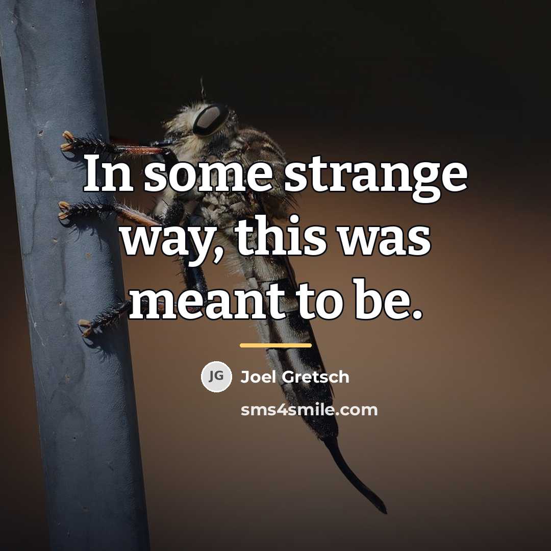 “In some strange way, this was meant to be.…” quote by Joel Gretsch