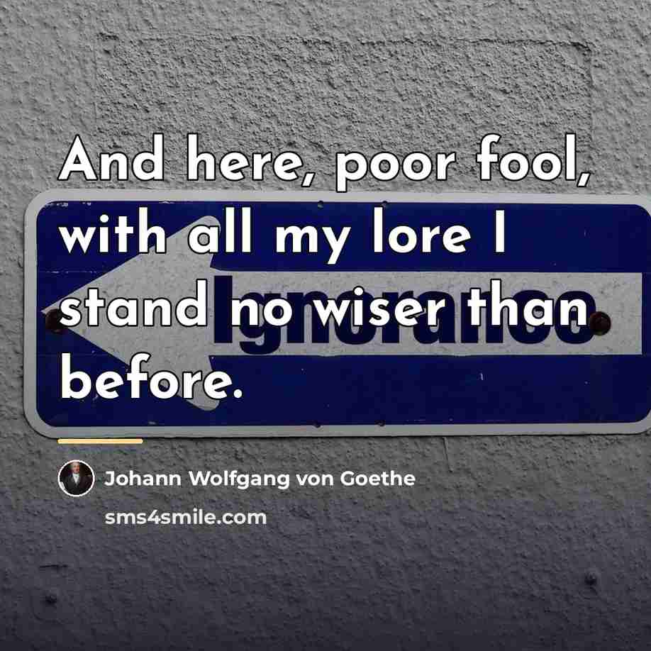 “And here, poor fool, with all my lore I stand…” quote by Johann Wolfgang von Goethe