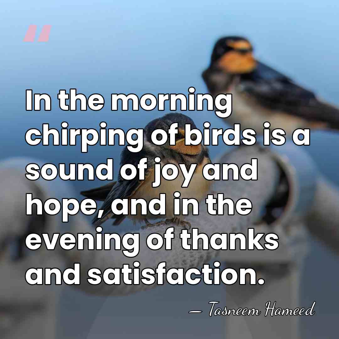 In the morning chirping of birds is a sound of joy and&hellip; - Tasneem Hameed