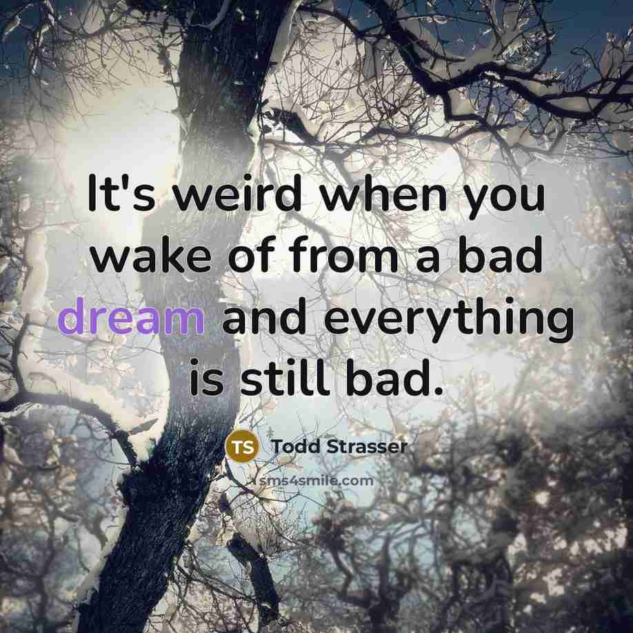 “It's weird when you wake of from a bad dream…” quote by Todd Strasser