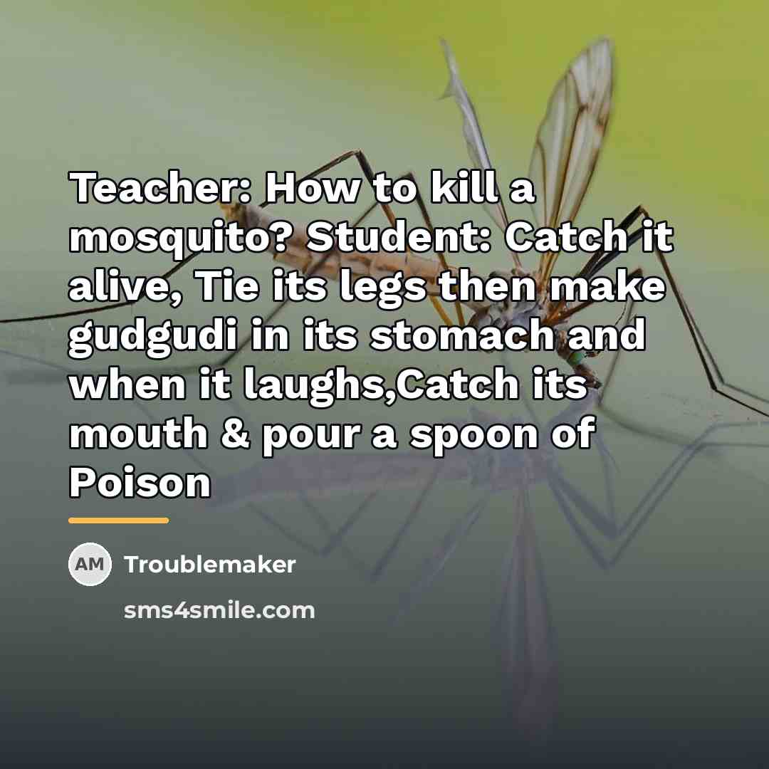 “Teacher: How to kill a mosquito? Student: Catch it alive,…” quote by Troublemaker