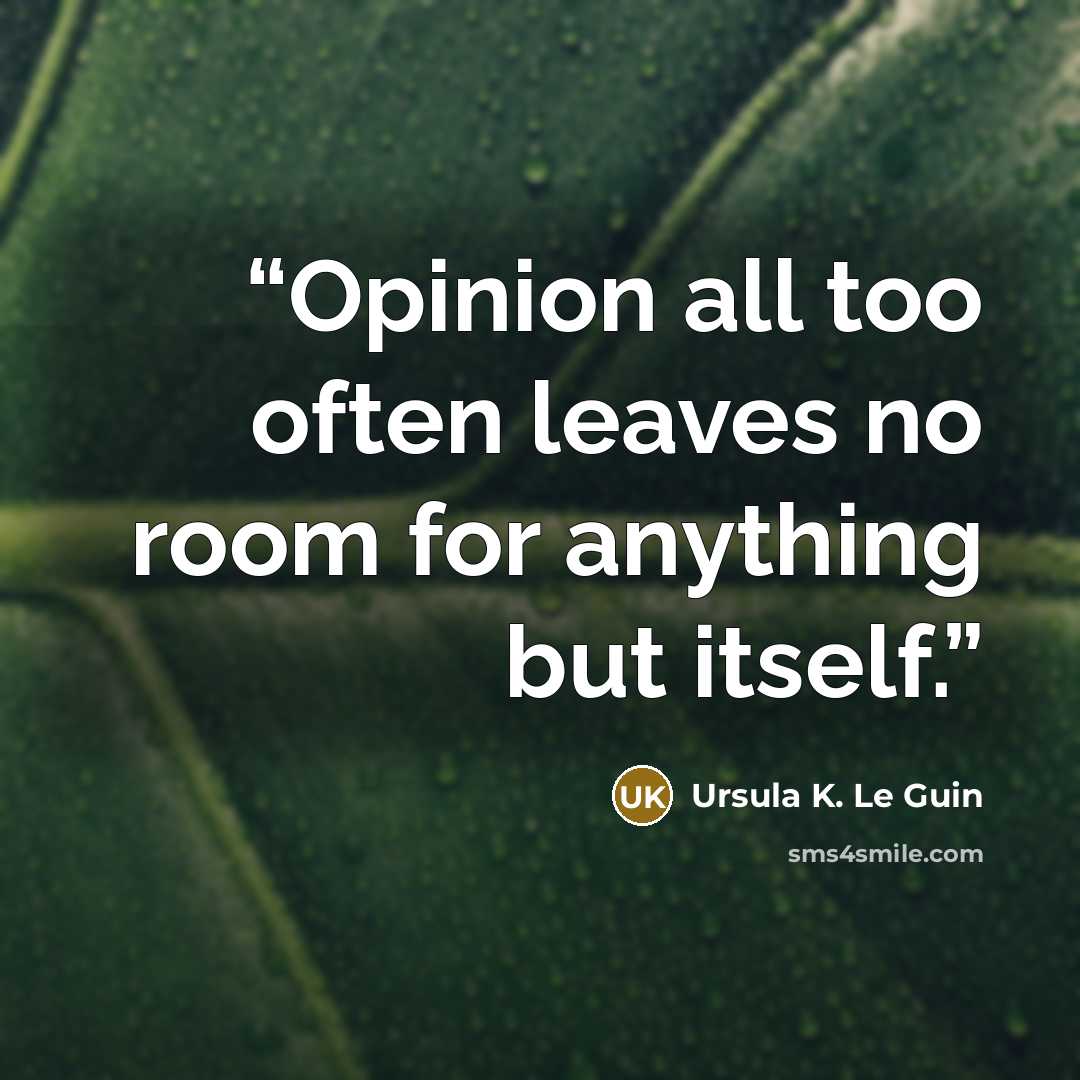 “Opinion all too often leaves no room for anything but itself.” quote by Ursula K. Le Guin