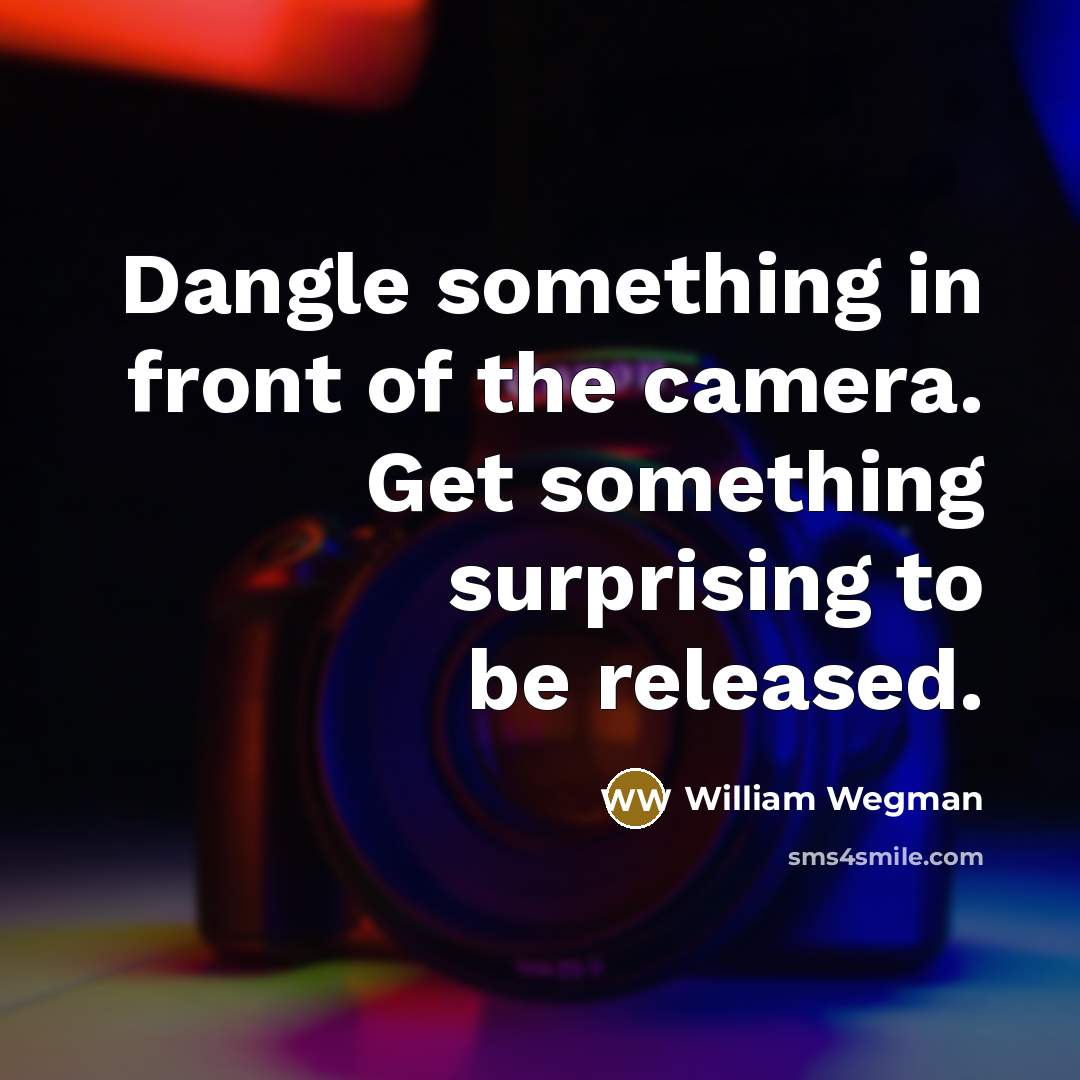 “Dangle something in front of the camera. Get something surprising…” quote by William Wegman