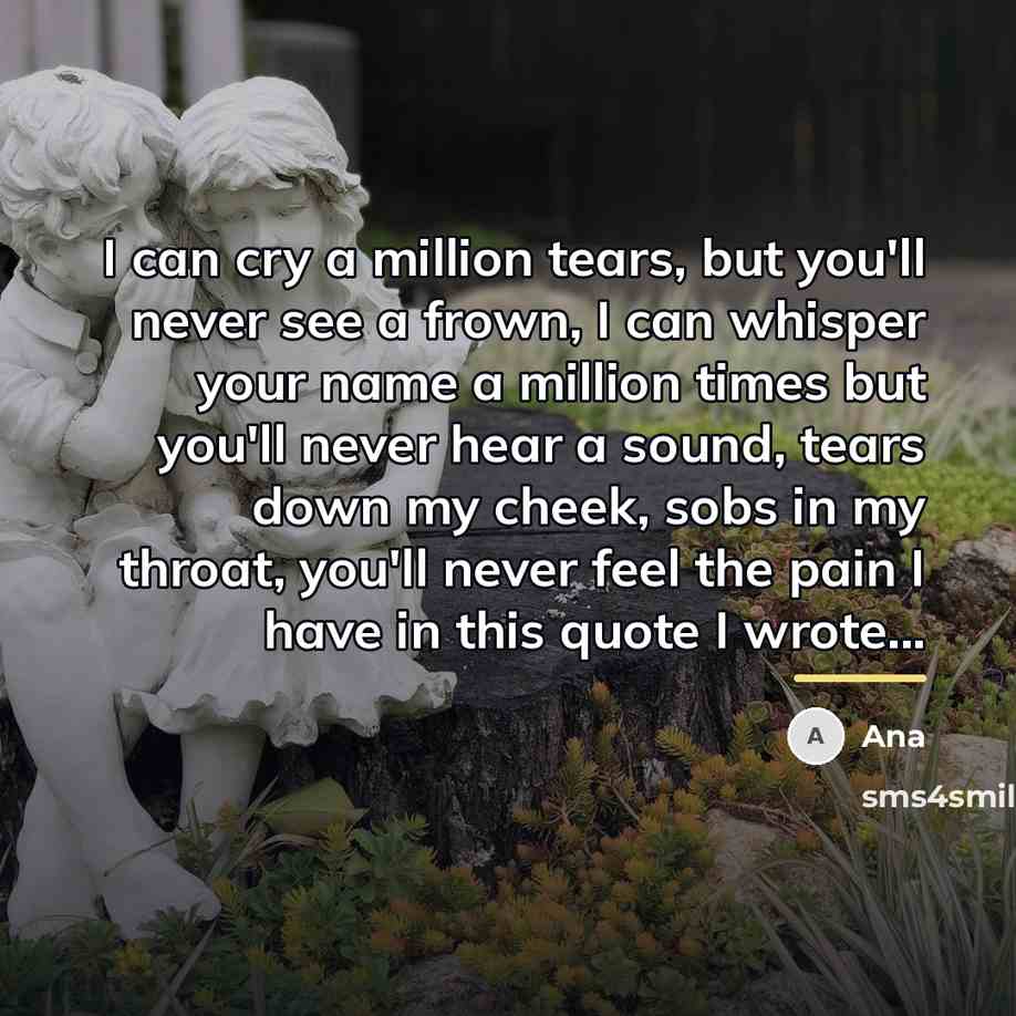 “I can cry a million tears, but you'll never see…” quote by Ana