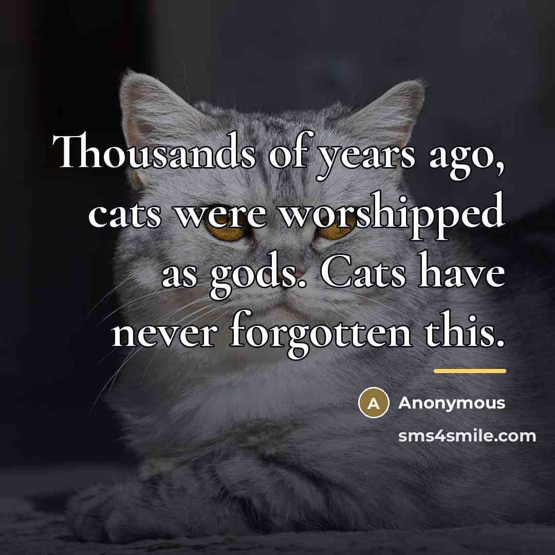 “Thousands of years ago, cats were worshipped as gods. Cats…” quote by Anonymous