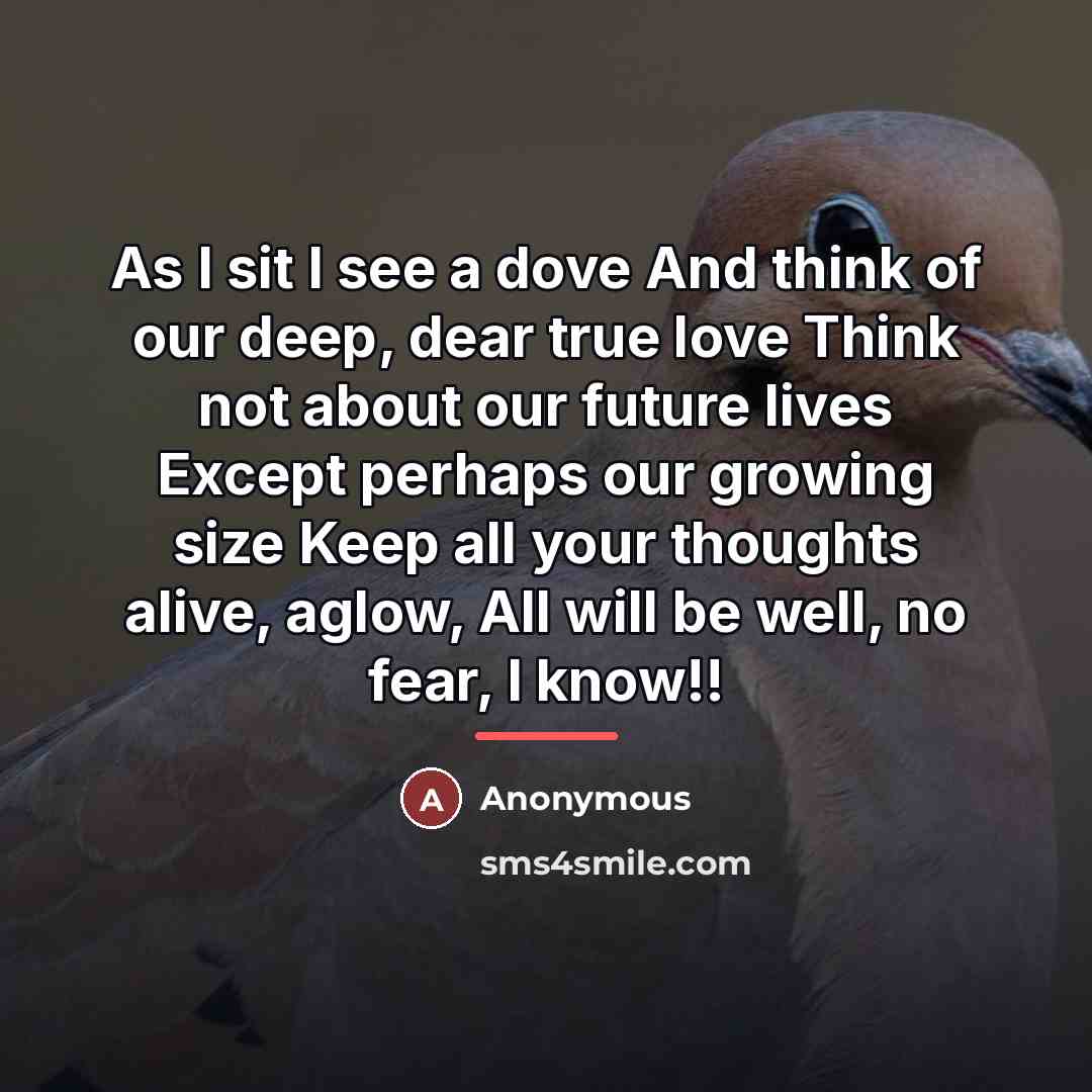 “As I sit I see a dove And think of…” quote by Anonymous