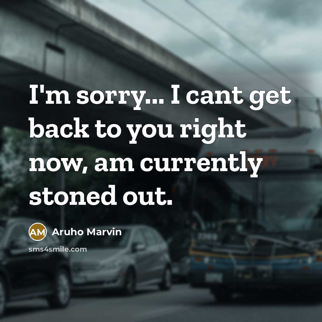 “I'm sorry... I cant get back to you right now, am currently stoned out.” quote by Aruho Marvin