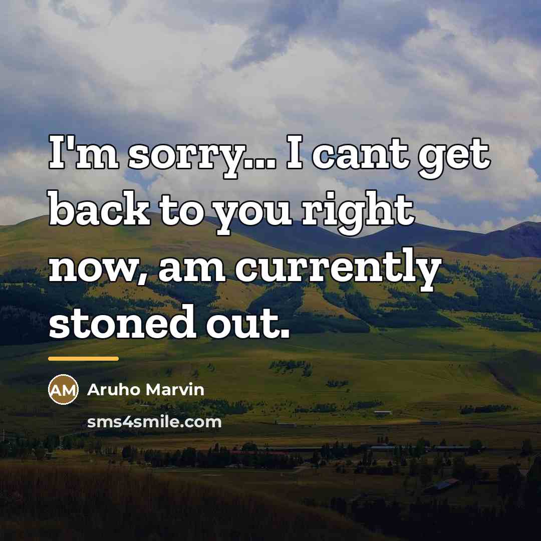 “I'm sorry... I cant get back to you right now,…” quote by Aruho Marvin
