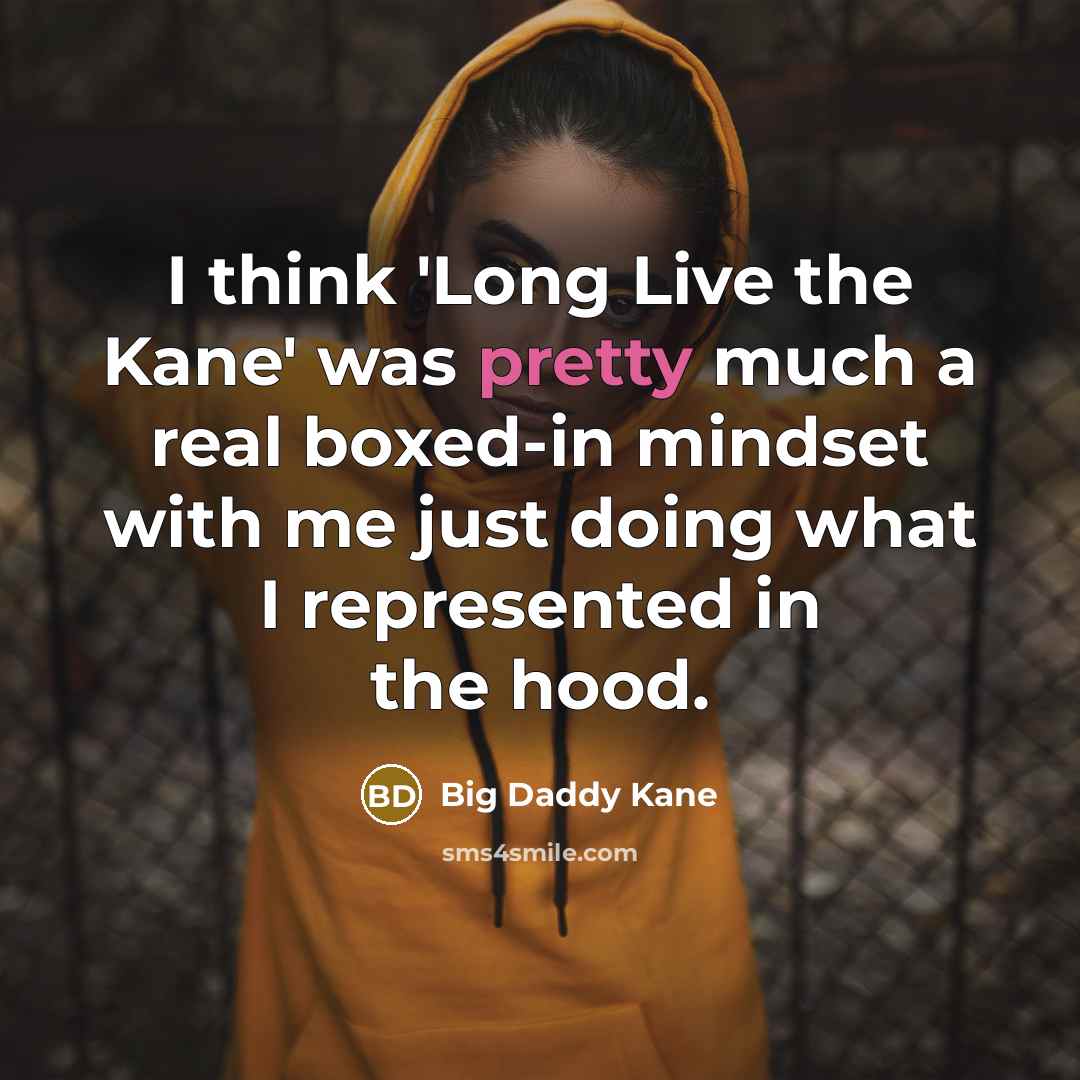 “I think 'Long Live the Kane' was pretty much a…” quote by Big Daddy Kane