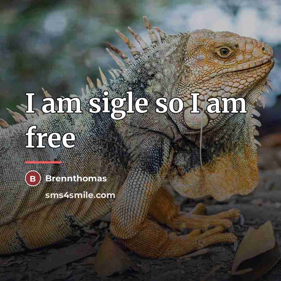 “I am sigle so I am free” quote by Anonymous