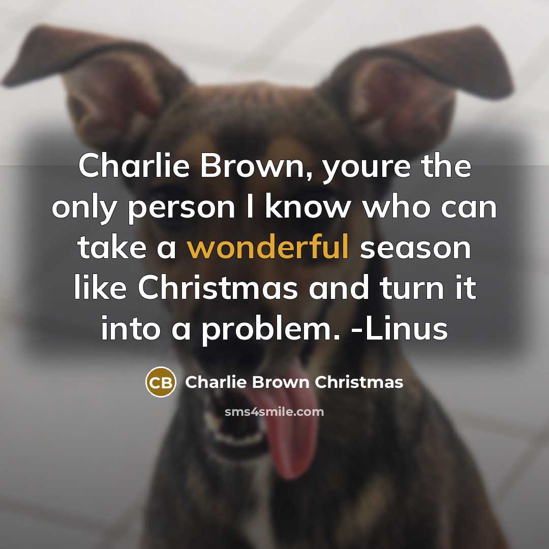 “Charlie Brown, youre the only person I know who can take a wonderful season like Christmas and turn it into a problem. -Linus” quote by Charlie Brown Christmas