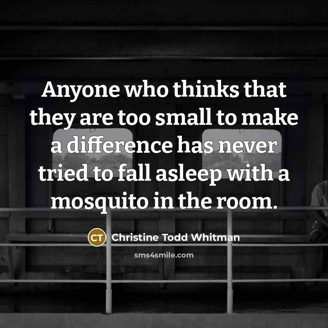 “Anyone who thinks that they are too small to make…” quote by Christine Todd Whitman