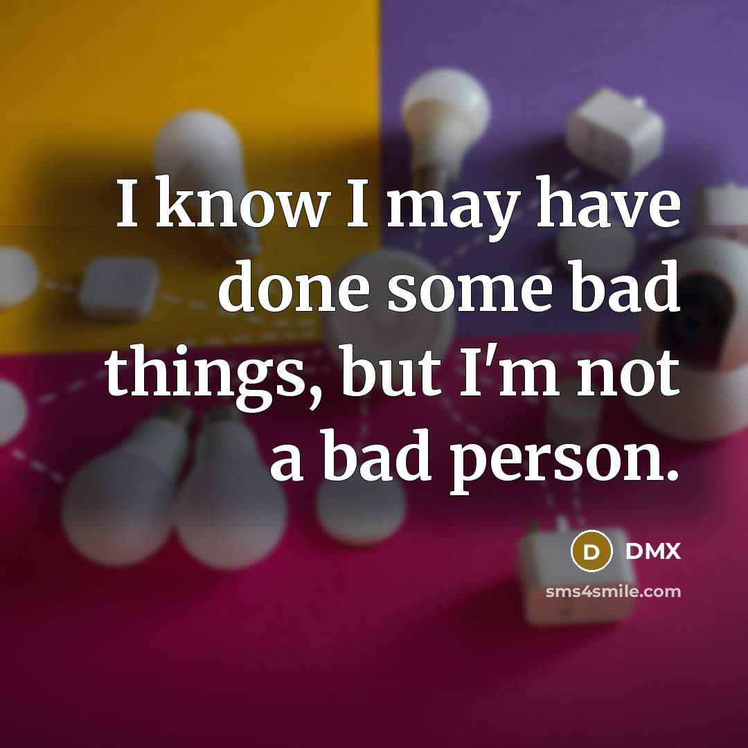 “I know I may have done some bad things, but…” quote by DMX