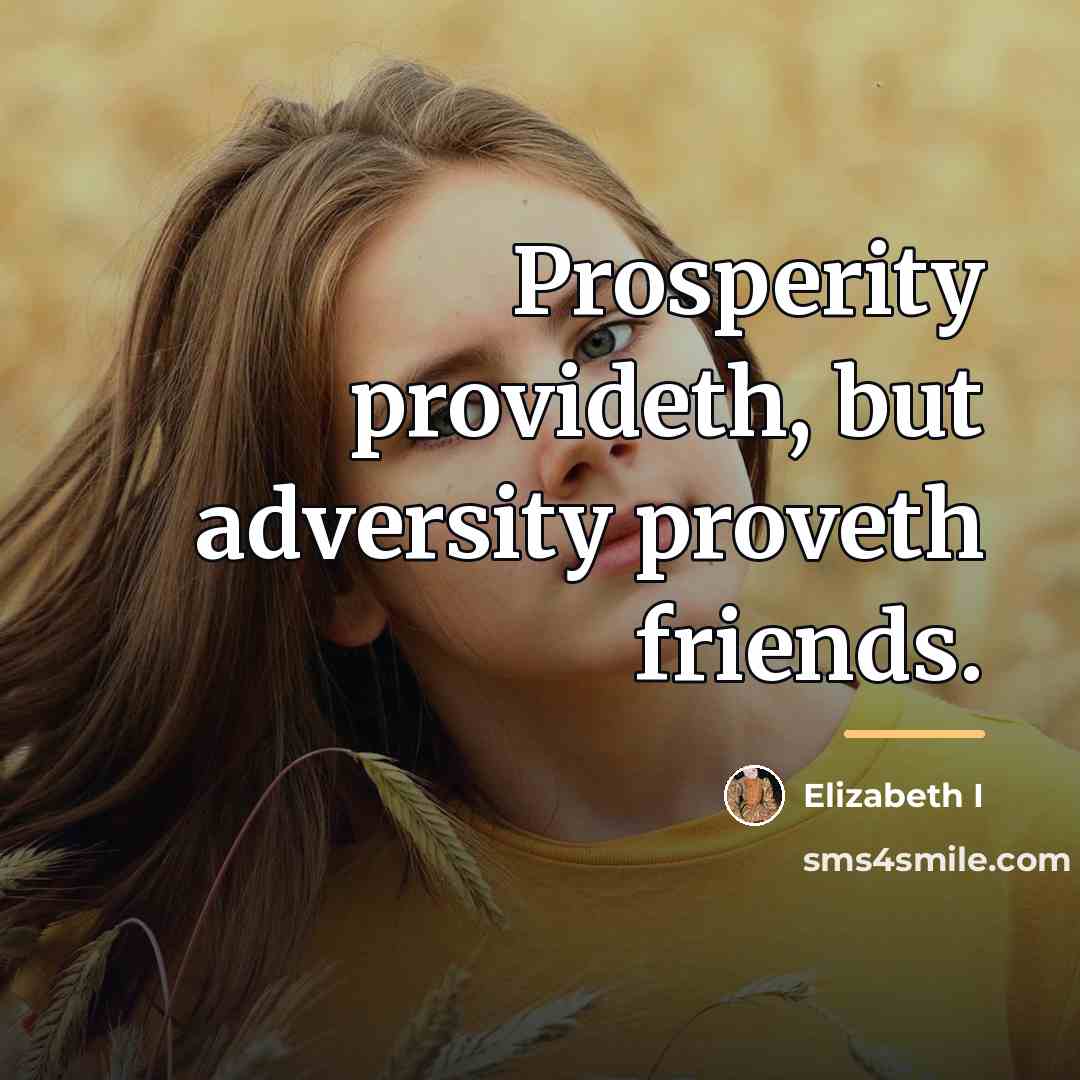 “Prosperity provideth, but adversity proveth friends.…” quote by Elizabeth I