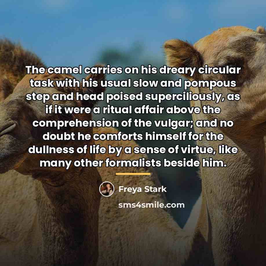 “The camel carries on his dreary circular task with his…” quote by Freya Stark