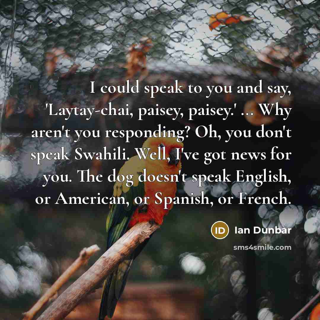 “I could speak to you and say, 'Laytay-chai, paisey, paisey.' ... Why aren't you responding? Oh, you don't speak Swahili. Well, I've got news for you. The dog doesn't speak English, or American, or Spanish, or French.” quote by Ian Dunbar