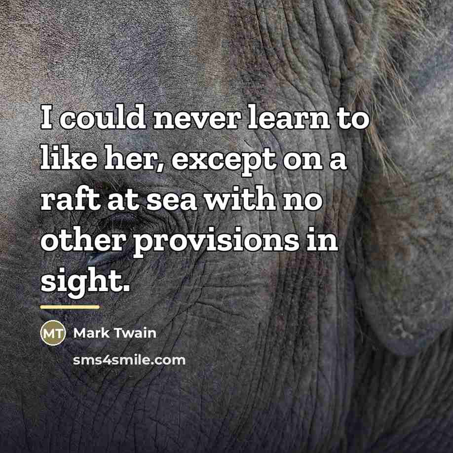 “I could never learn to like her, except on a…” quote by Mark Twain