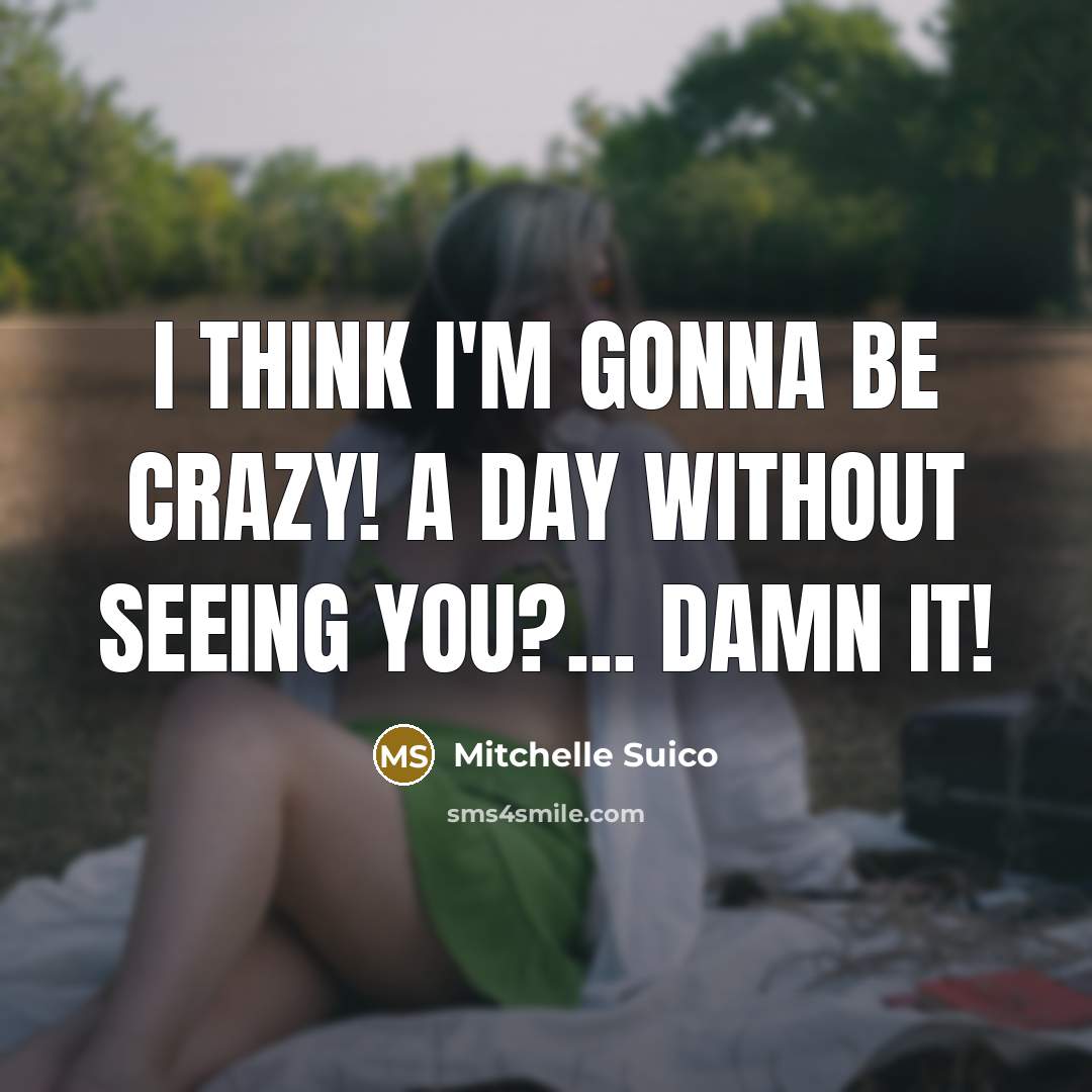 “I think I'm gonna be crazy! A day without seeing you?... damn it!” quote by Mitchelle Suico