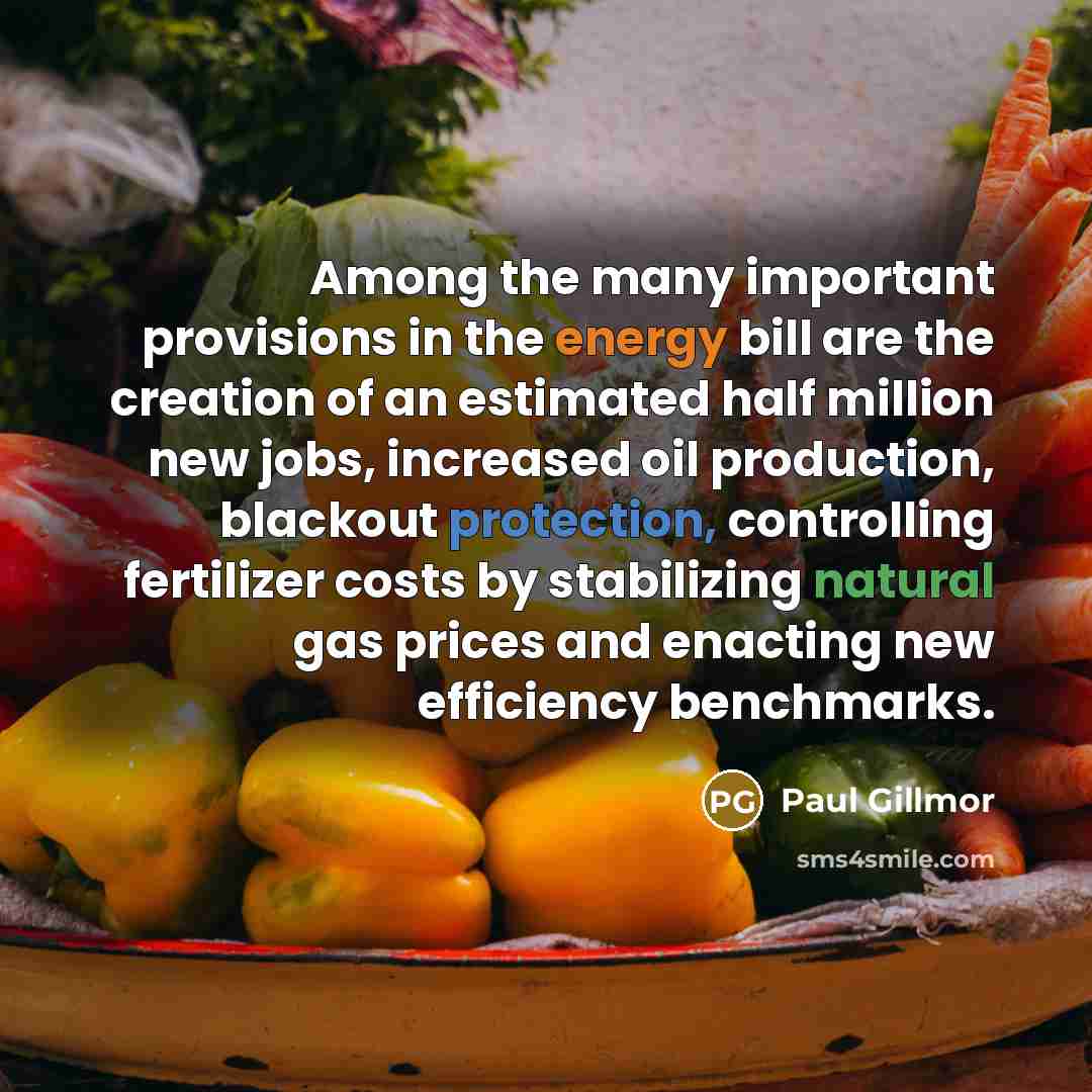 “Among the many important provisions in the energy bill are…” quote by Paul Gillmor