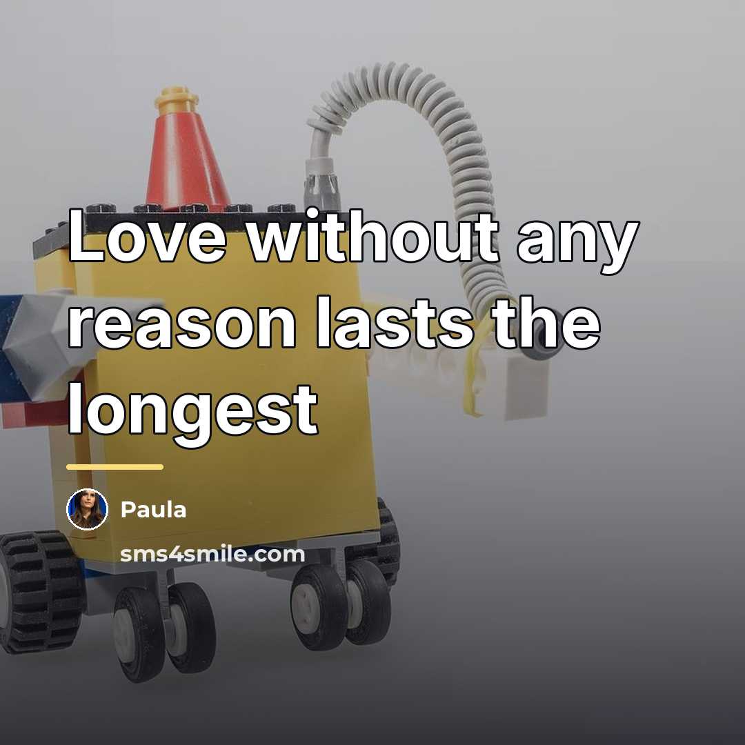 “Love without any reason lasts the longest…” quote by Paula