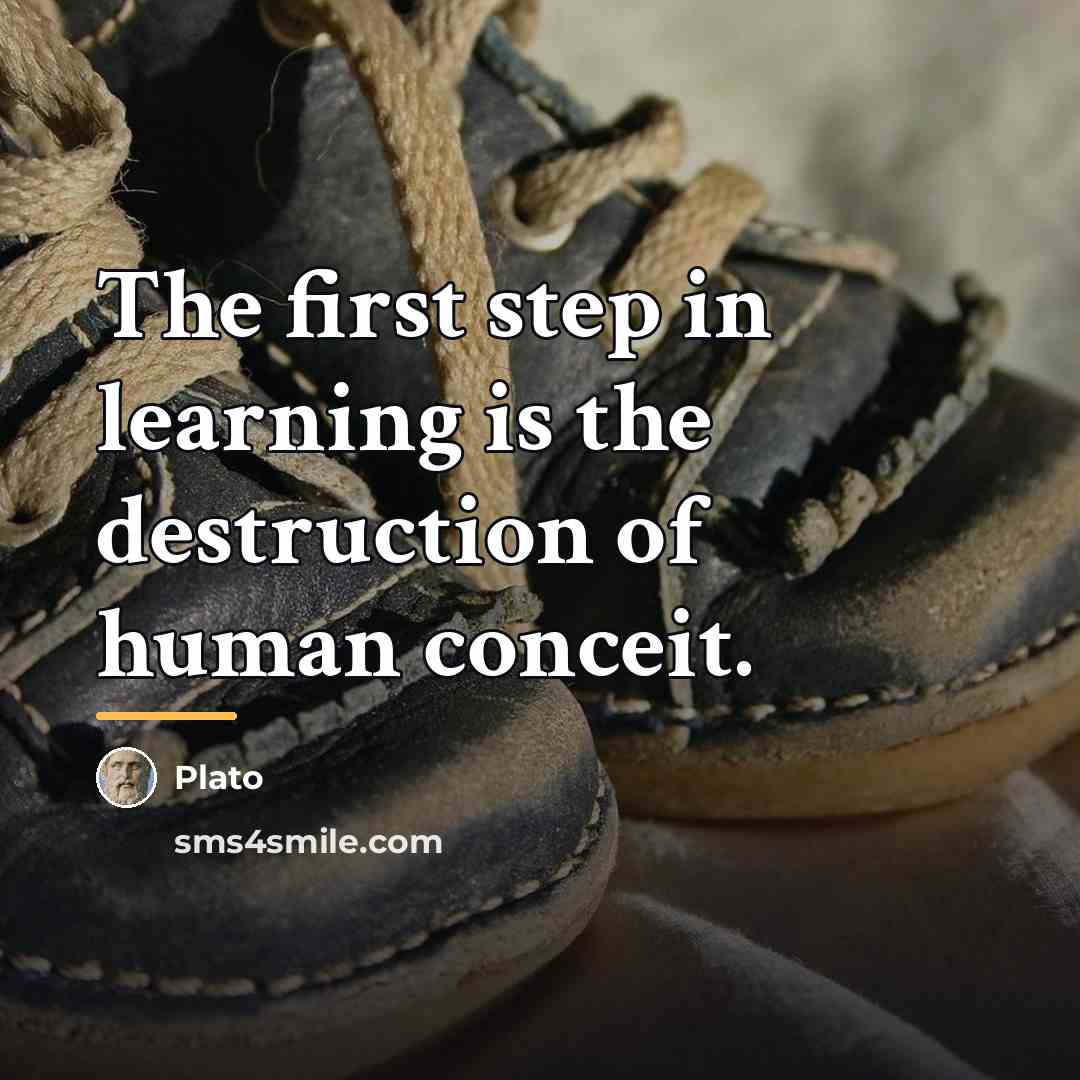 “The first step in learning is the destruction of human…” quote by Plato