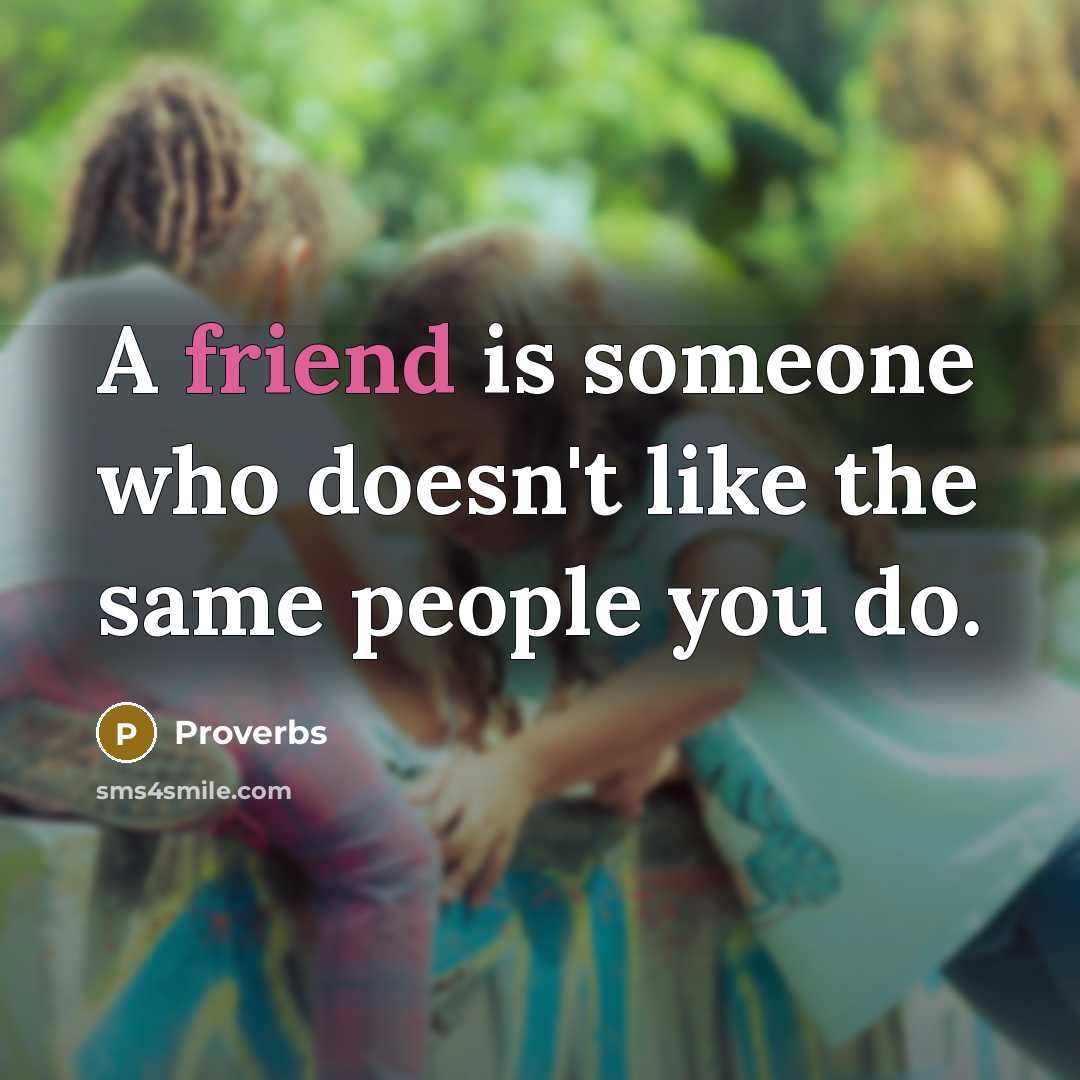 “A friend is someone who doesn't like the same people…” quote by Proverbs