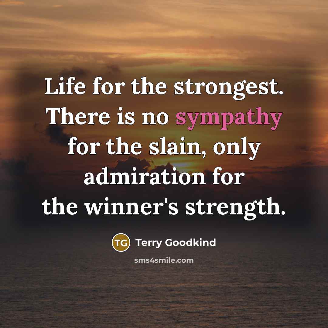 “Life for the strongest. There is no sympathy for the…” quote by Terry Goodkind