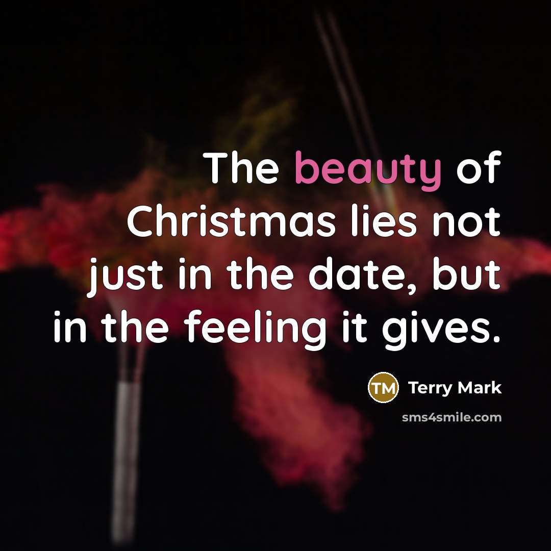 “The beauty of Christmas lies not just in the date,…” quote by Terry Mark