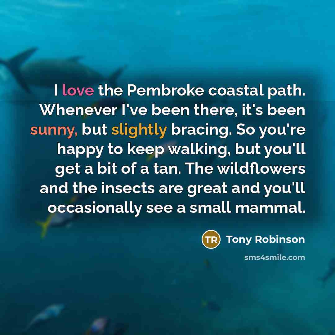 “I love the Pembroke coastal path. Whenever I've been there, it's been sunny, but slightly bracing. So you're happy to keep walking, but you'll get a bit of a tan. The wildflowers and the insects are great and you'll occasionally see a small mammal.” quote by Tony Robinson
