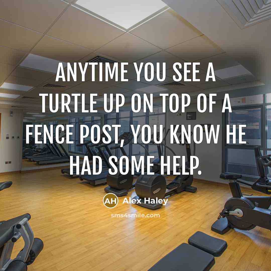 “Anytime you see a turtle up on top of a…” quote by Alex Haley