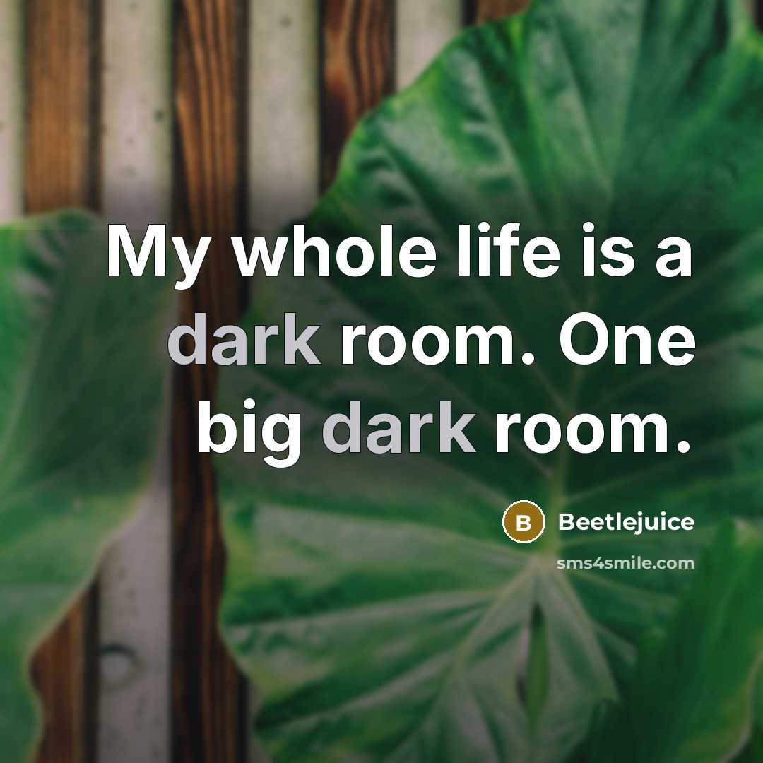 “My whole life is a dark room. One big dark…” quote by Beetlejuice