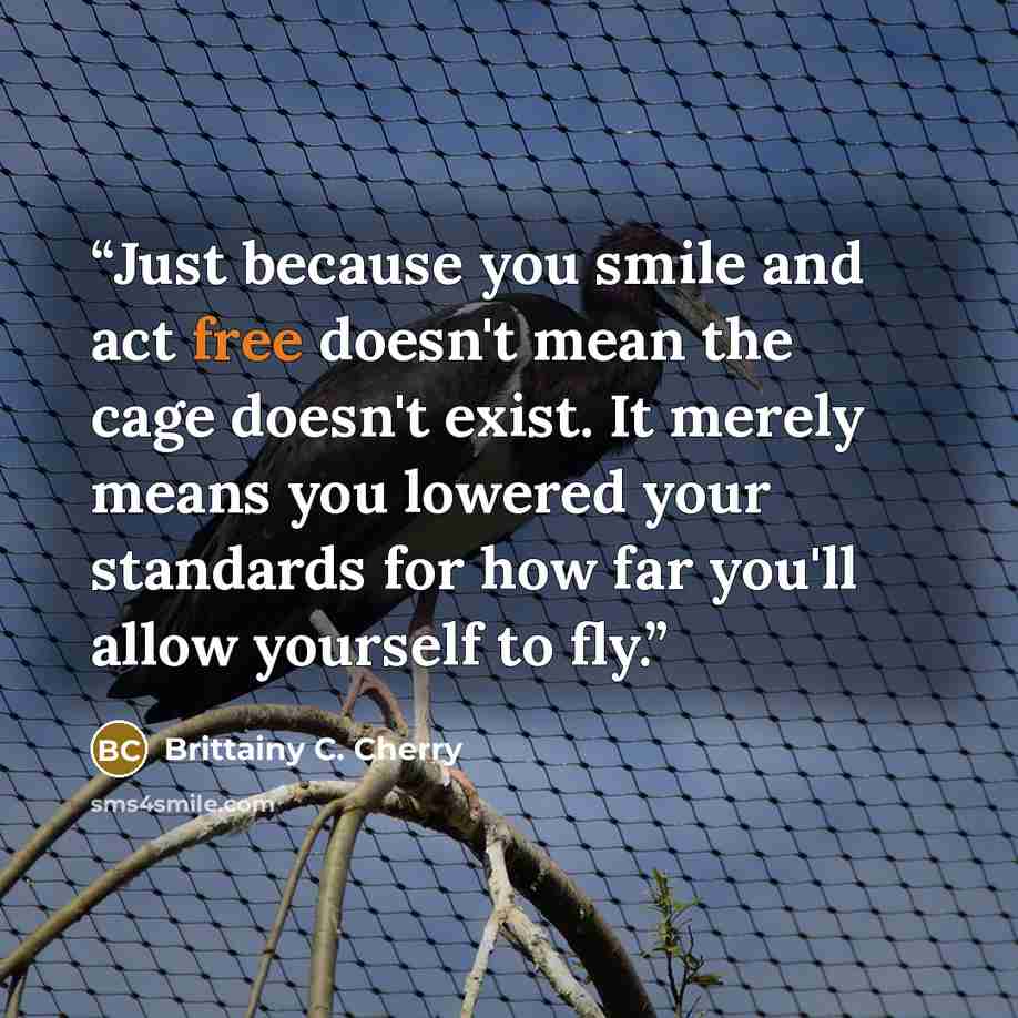 “Just because you smile and act free doesn't mean the cage doesn't exist. It merely means you lowered your standards for how far you'll allow yourself to fly.” quote by Brittainy C. Cherry