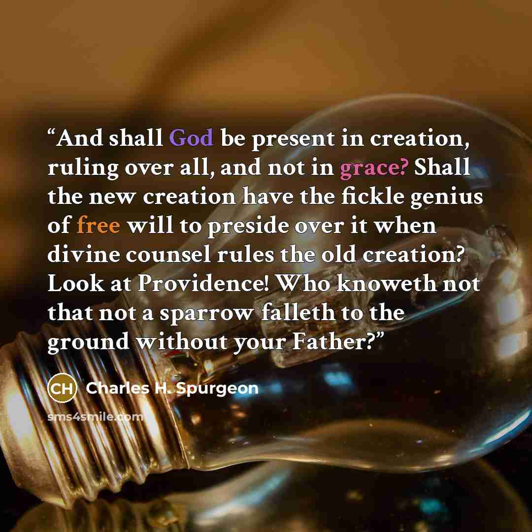 “And shall God be present in creation, ruling over all, and not in grace? Shall the new creation have the fickle genius of free will to preside over it when divine counsel rules the old creation? Look at Providence! Who knoweth not that not a sparrow falleth to the ground without your Father?” quote by Charles H. Spurgeon