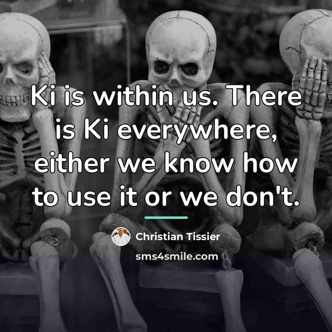 “Ki is within us. There is Ki everywhere, either we…” quote by Christian Tissier