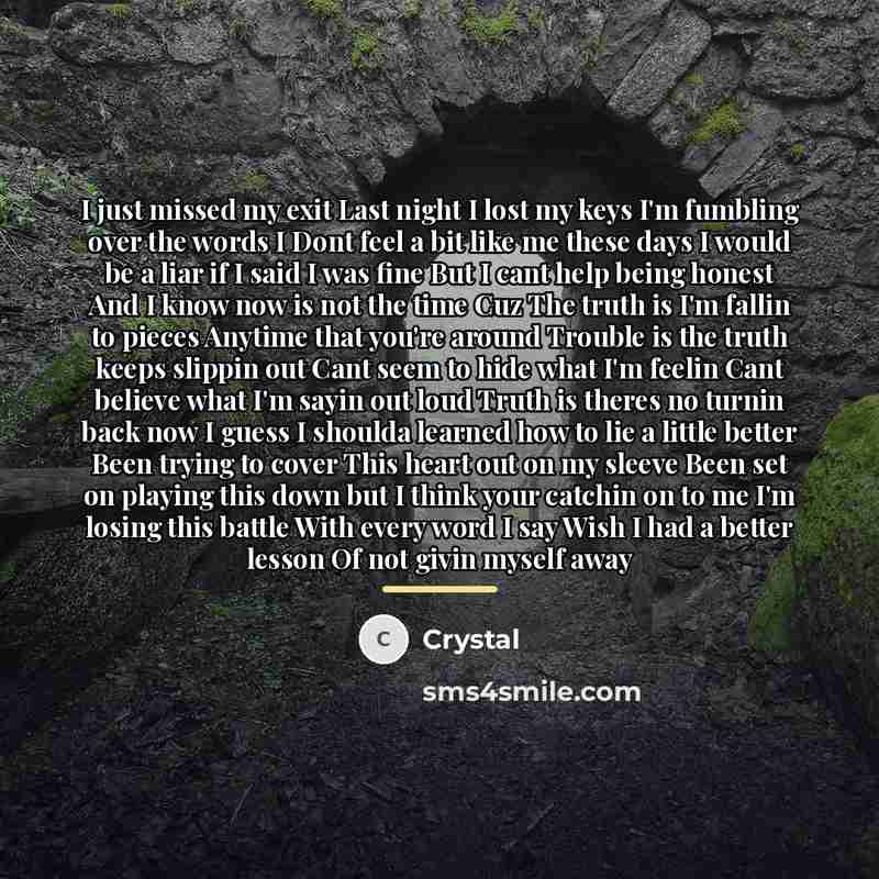 “I just missed my exit Last night I lost my…” quote by Crystal