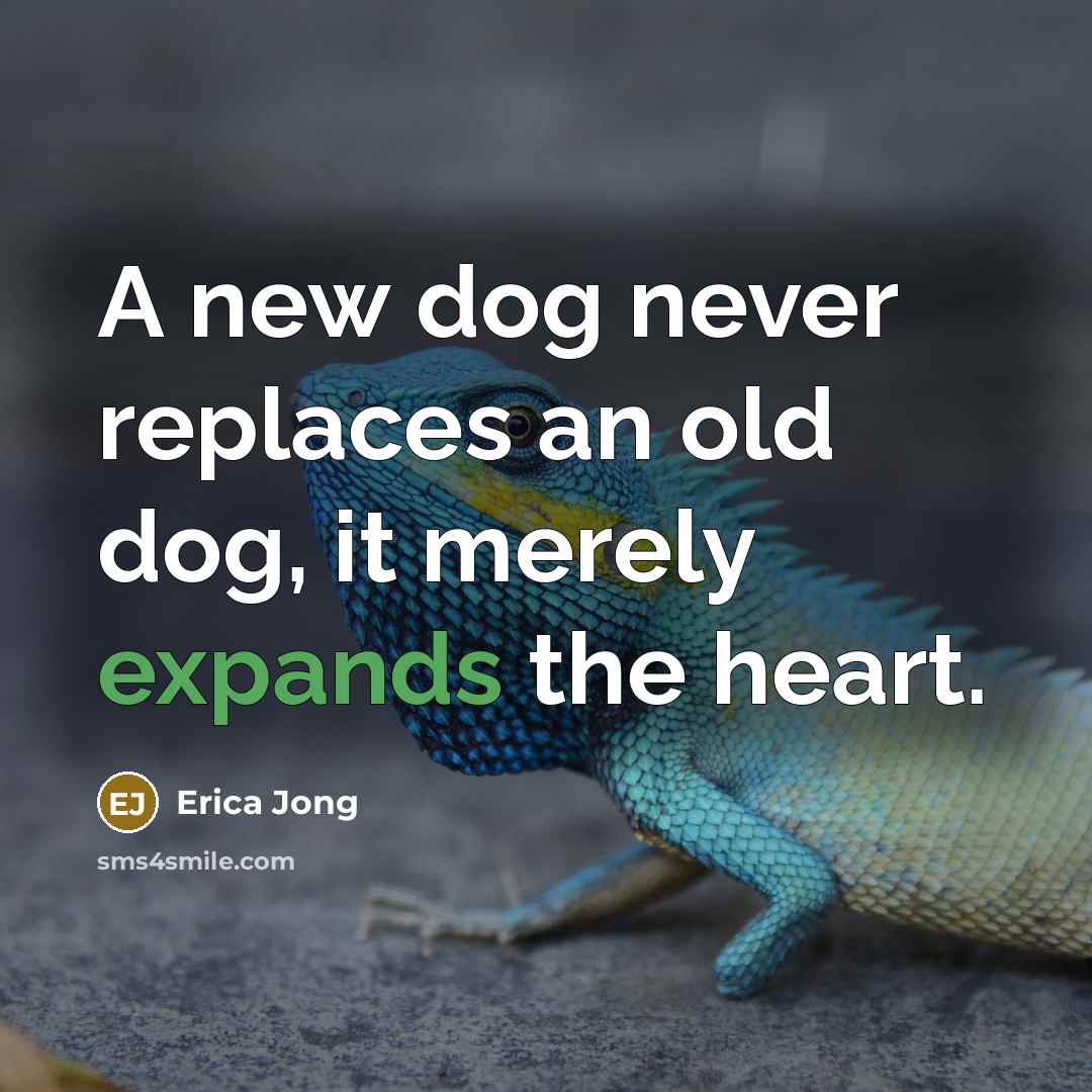 “A new dog never replaces an old dog, it merely expands the heart.” quote by Erica Jong