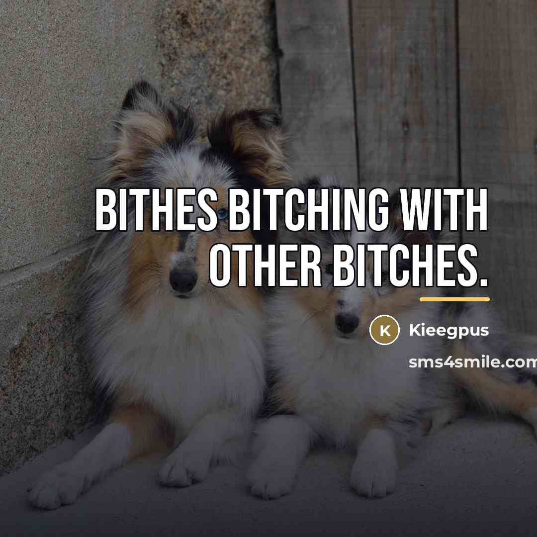 “Bithes bitching with other bitches.…” quote by Kieegpus