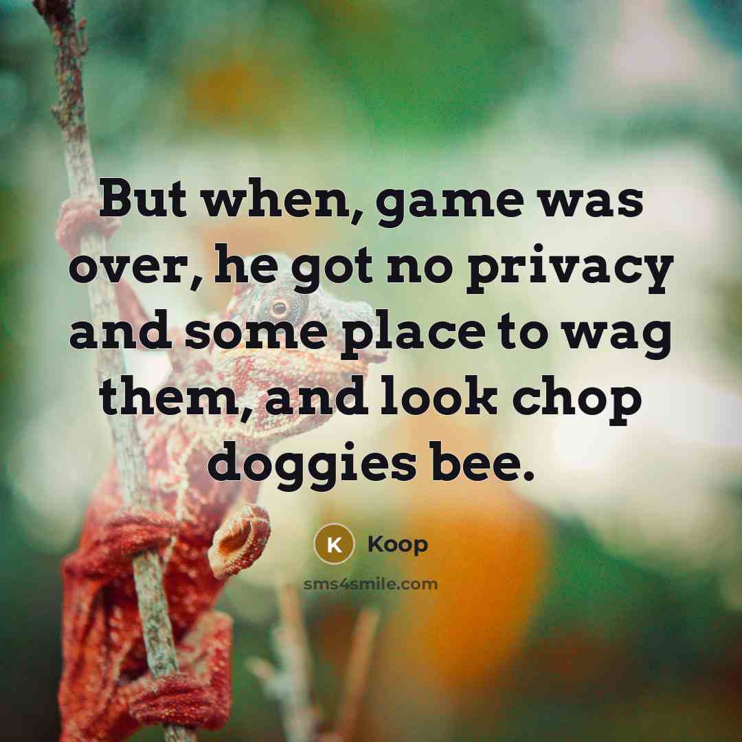 “But when, game was over, he got no privacy and some place to wag them, and look chop doggies bee.” quote by Koop