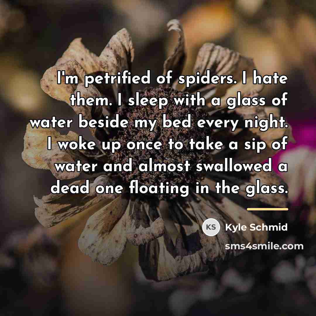 “I'm petrified of spiders. I hate them. I sleep with…” quote by Kyle Schmid