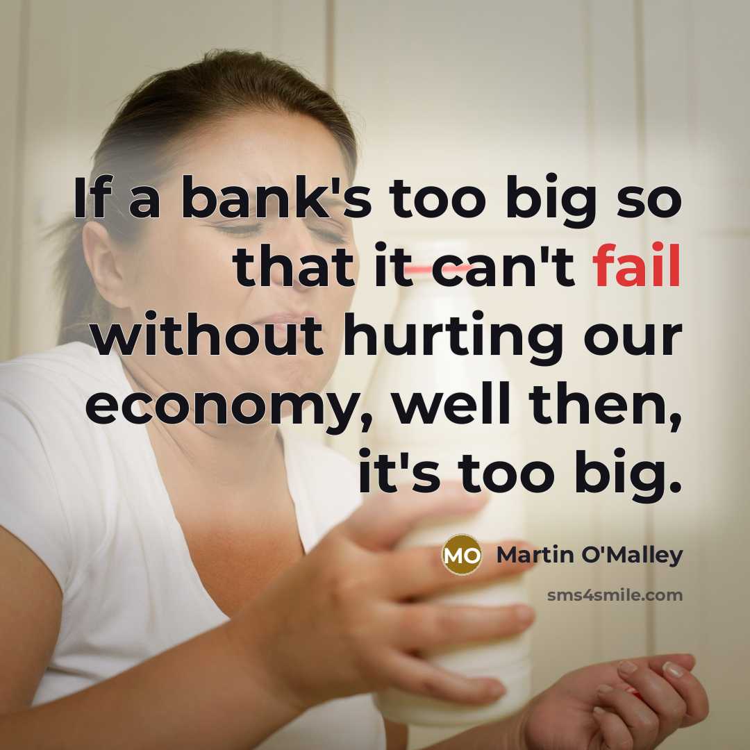 “If a bank's too big so that it can't fail…” quote by Martin O'Malley