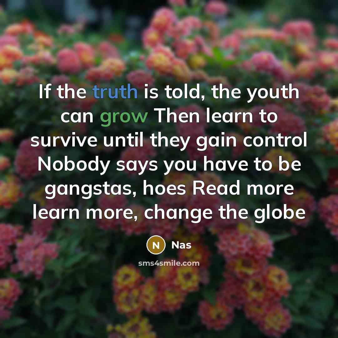 “If the truth is told, the youth can grow Then…” quote by Nas