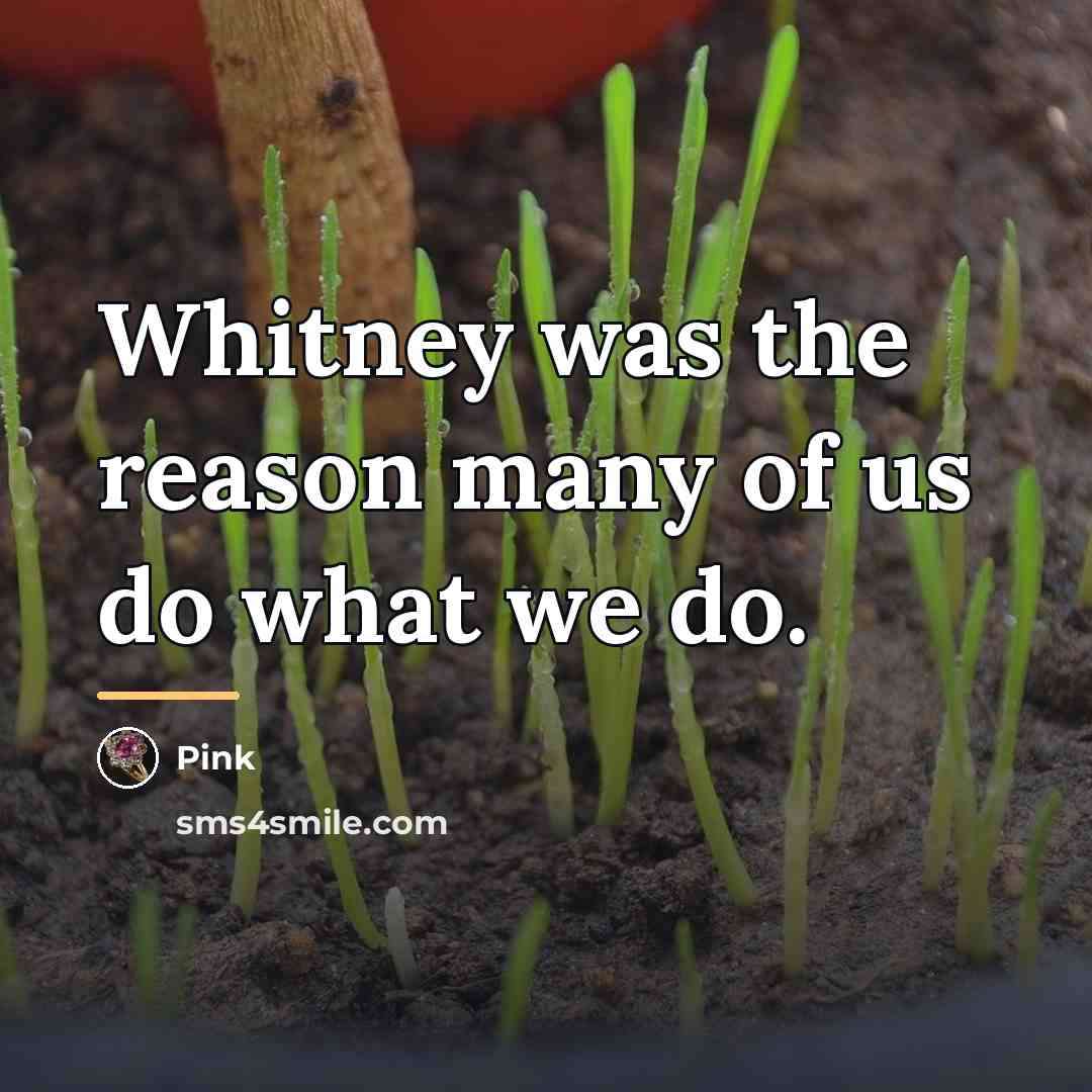 “Whitney was the reason many of us do what we…” quote by Pink